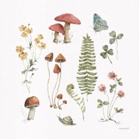 Forest Treasures 03 Fine Art Print