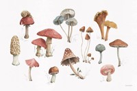 Mushroom Medley 01 Fine Art Print