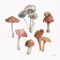 Mushroom Medley 02 Fine Art Print