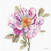 Obviously Pink 04A Framed Print