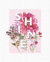 Obviously Pink 08A Framed Print