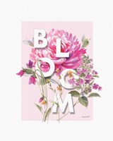 Obviously Pink 09A Framed Print