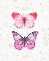 Obviously Pink 10A Framed Print