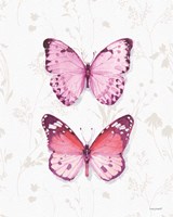 Obviously Pink 11A Framed Print