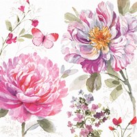 Obviously Pink 20A Framed Print