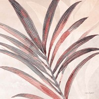 Terra 05 Framed Print