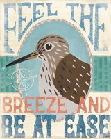 Coastal Portrait II Framed Print