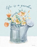 Gardenscape VI Framed Print