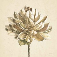 Seed Pod I No Words Cream Fine Art Print