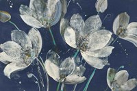 Translucent Garden with Light Blue Fine Art Print