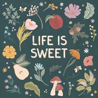 September Sweetness II Dark Framed Print