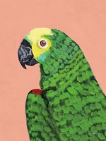 Parrot Head Fine Art Print