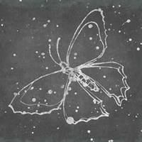 Silver Wings II Fine Art Print