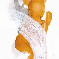 Amber Wash II Framed Print