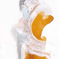 Amber Wash I Framed Print