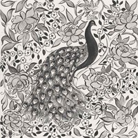 Peacock Garden III BW Fine Art Print