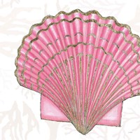 Shimmering Shells V Framed Print