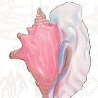 Shimmering Shells XII Fine Art Print