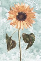 Vintage Sunflower Fine Art Print