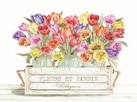 Tulip Trio Fine Art Print