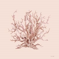 Pink Coral I Fine Art Print