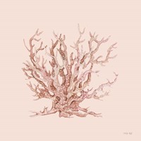 Pink Coral II Framed Print