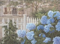 Hydrangeas Fine Art Print