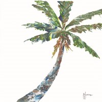 Palm II Fine Art Print