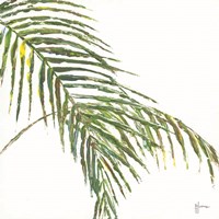 Two Palm Fronds II Fine Art Print