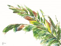 Palm Leaves Vivid Fine Art Print