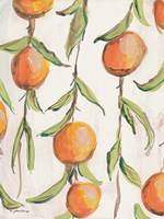 Orange Branch Fine Art Print