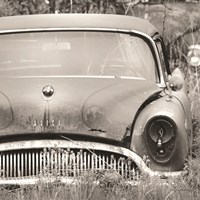 Seen Better Days I Fine Art Print