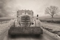 Rustic Charm VI Fine Art Print