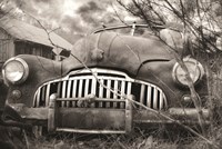 Rustic Charm VII Fine Art Print