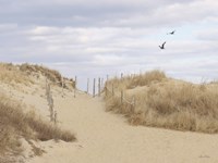 Fenwick Island Fine Art Print