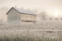 Dewy Country Morning Fine Art Print
