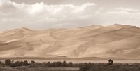 The Great Sand Dunes Fine Art Print