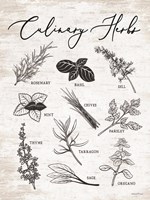 Culinary Herbs Fine Art Print