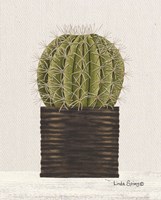 Potted Cactus Fine Art Print
