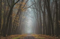 Moody Autumn Fine Art Print