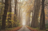 Autumnal Moodiness Fine Art Print