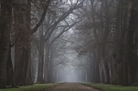 Creepy Road Fine Art Print