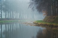 Foggy Reflections Fine Art Print