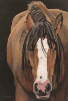 Horse Portrait II Framed Print
