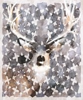 Elk Montage Fine Art Print