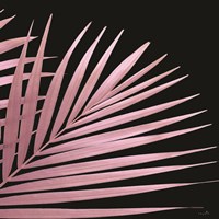 Pink Palm Framed Print