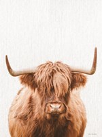 Cow Portrait Fine Art Print