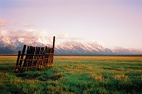 Fence In Jackson Fine Art Print