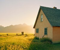 Golden Tetons Fine Art Print