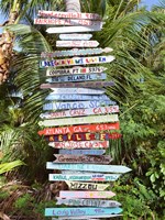 Signs Fine Art Print